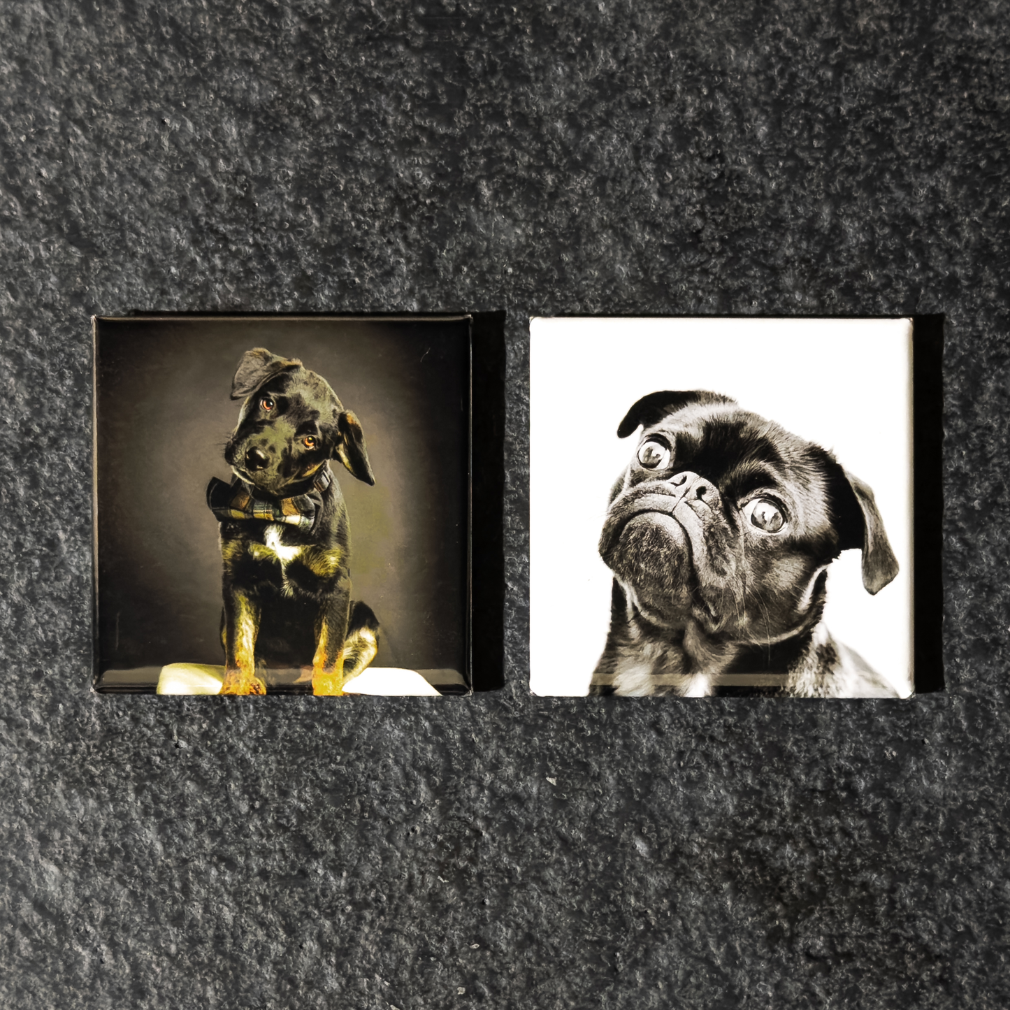 Personalized magnets printed with your favorite memories