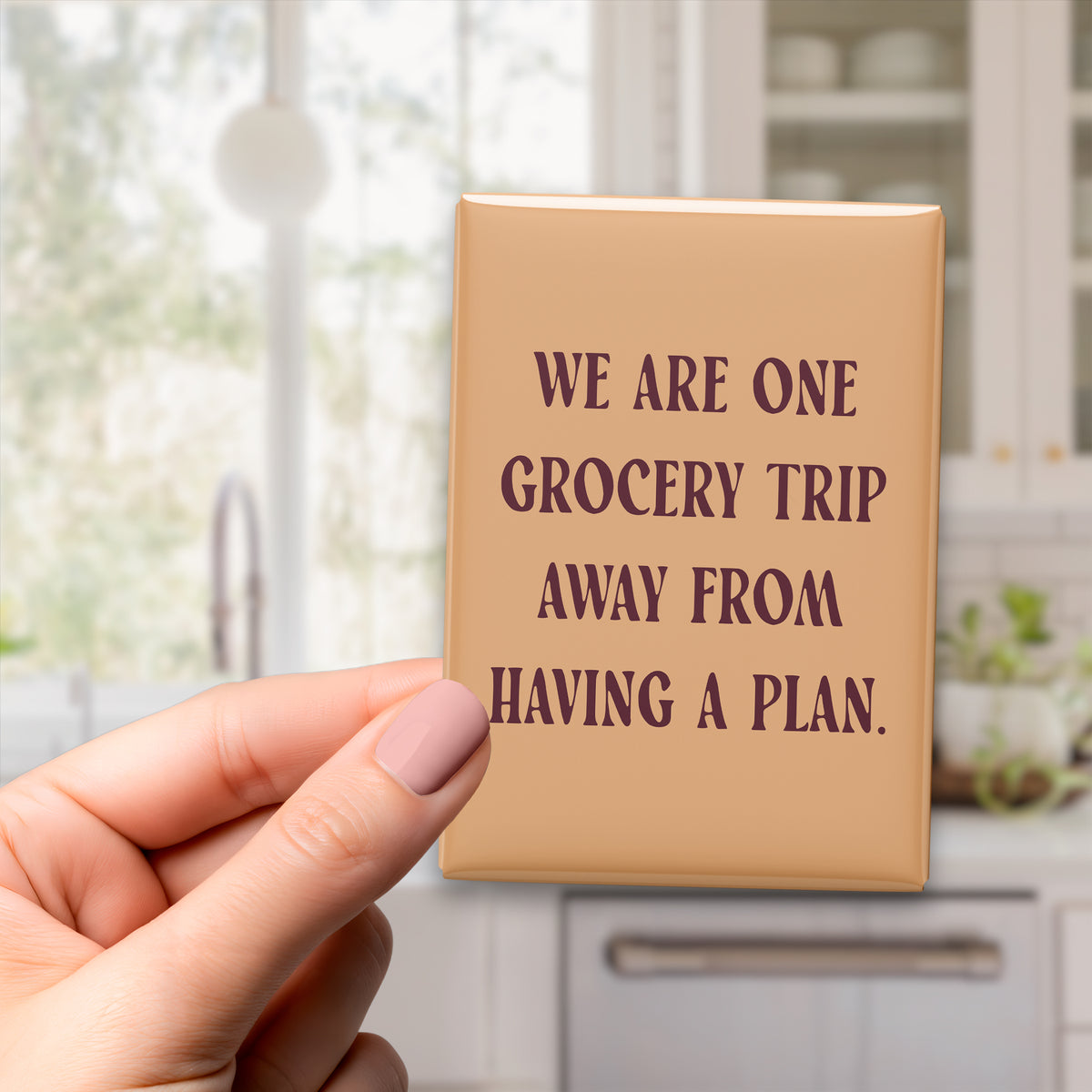 Hand holding the 2.5 × 3.5-inch “We are one grocery trip away from having a plan.” magnet in a kitchen