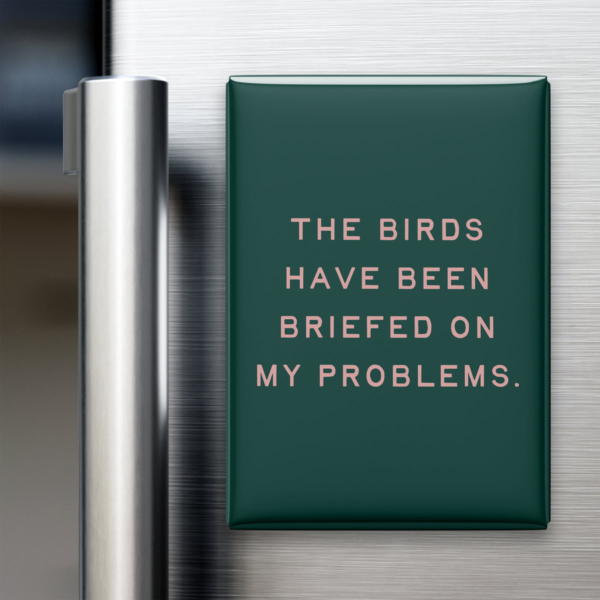 “The birds have been briefed on my problems.” quote magnet displayed on a refrigerator