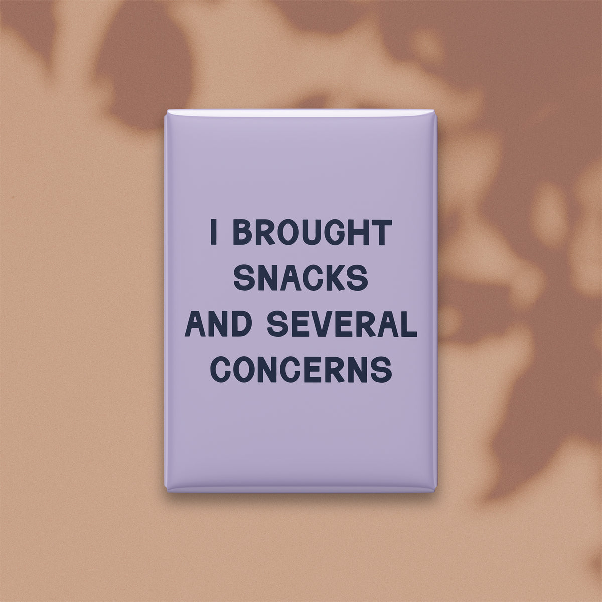I Brought Snacks and Several Concerns Magnet