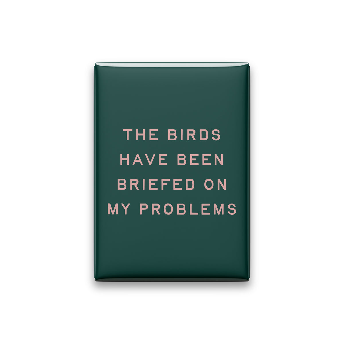 The Birds Have Been Briefed on My Problems Magnet