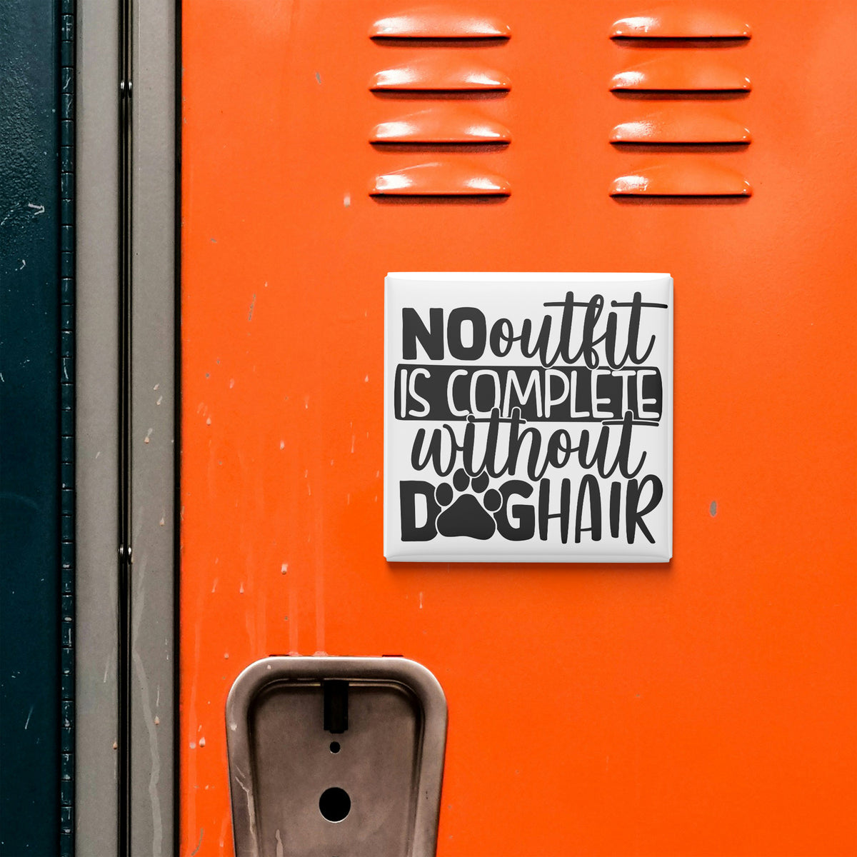 a sticker with the text "NO OUTFIT IS COMPLETE without DOG HAIR" on an orange surface, which appears to be a locker or a storage unit.