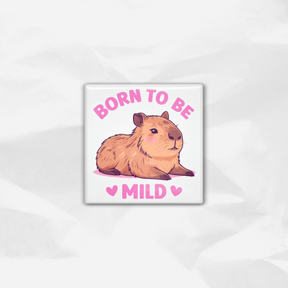 Fun & Meme Magnets