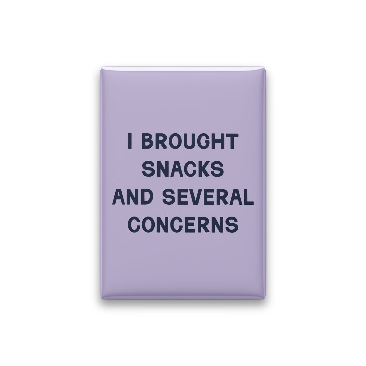 I Brought Snacks and Several Concerns Magnet