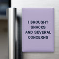 I Brought Snacks and Several Concerns Magnet