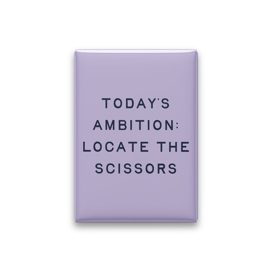Today's Ambition: Locate the Scissors Magnet