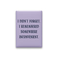 I Didn't Forget. I Remembered Somewhere Inconvenient Magnet