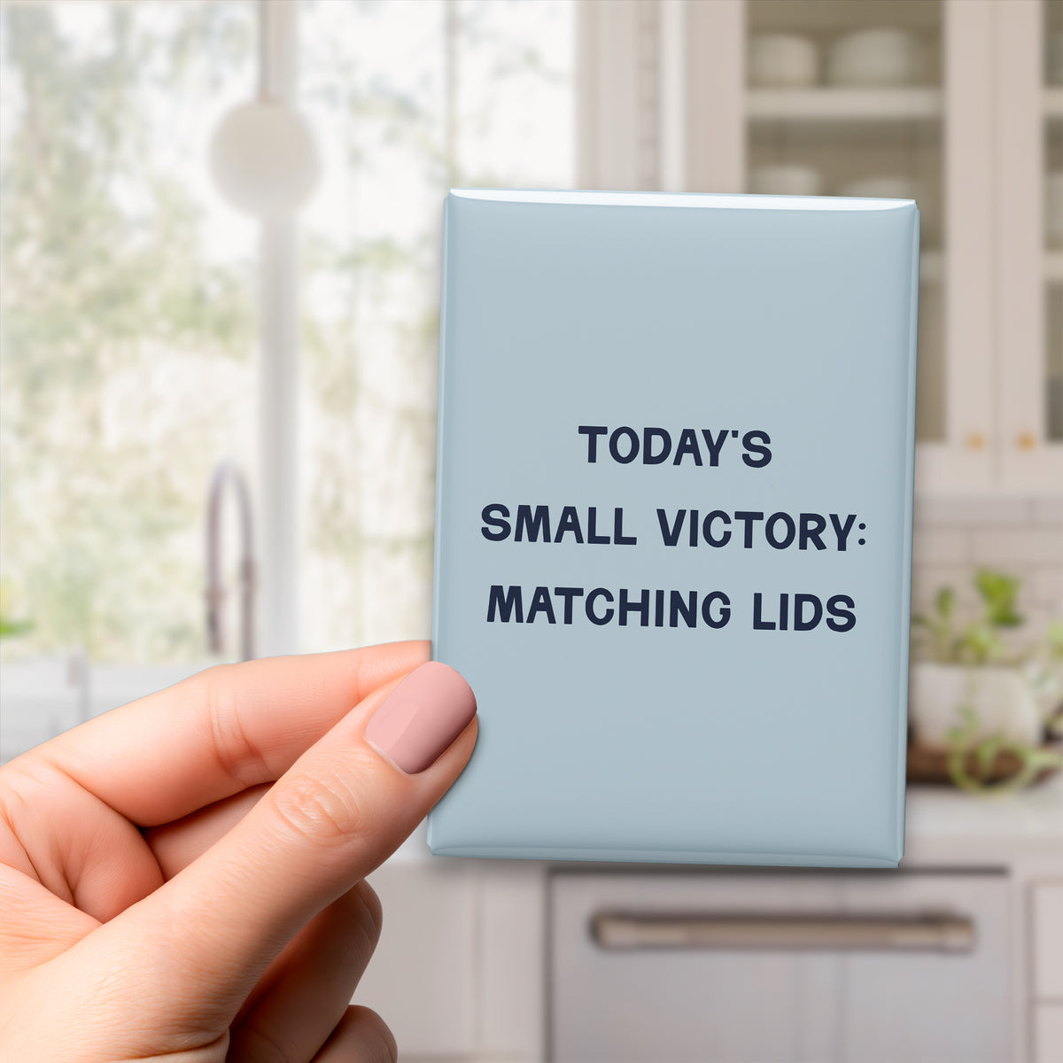 Today's Small Victory: Matching Lids Magnet