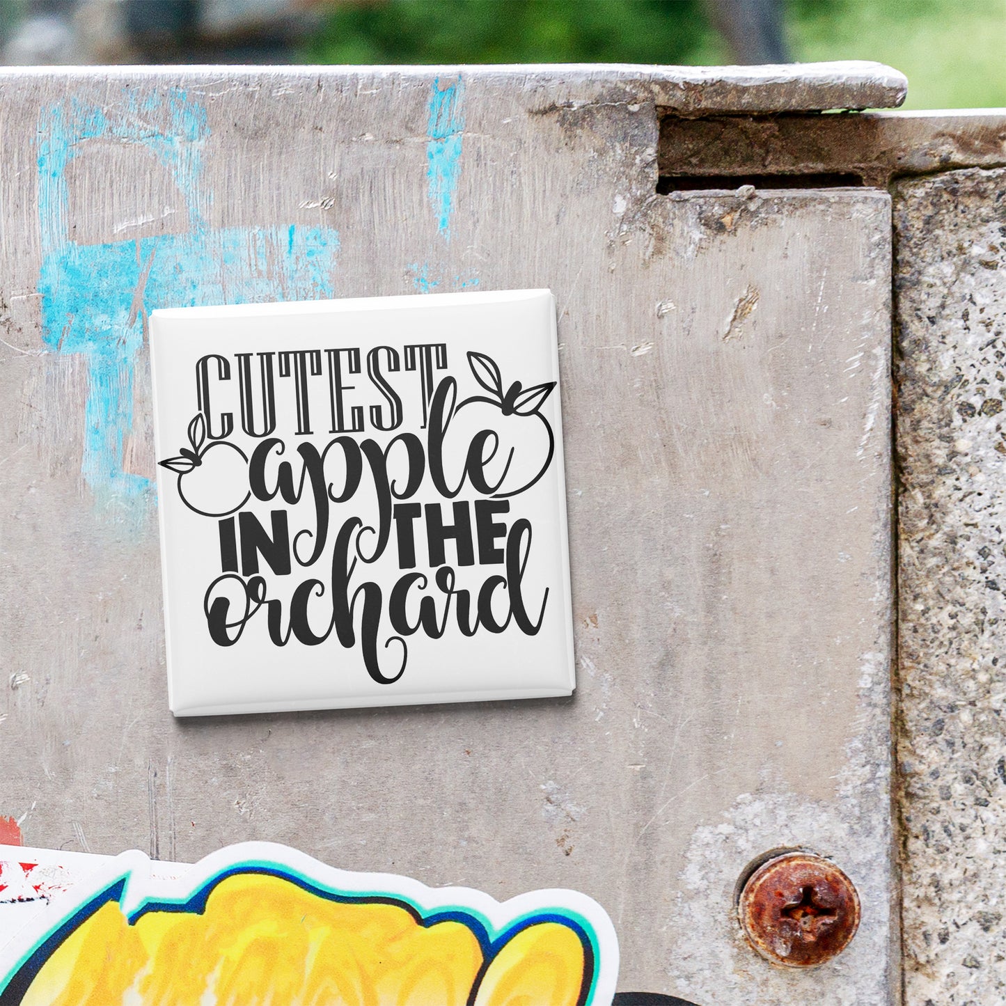 a white square magnet with the text "CUTEST APPLE IN THE ORCHARD" written on it, which is attached to a concrete wall.